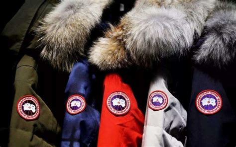 canada goose china free shipping